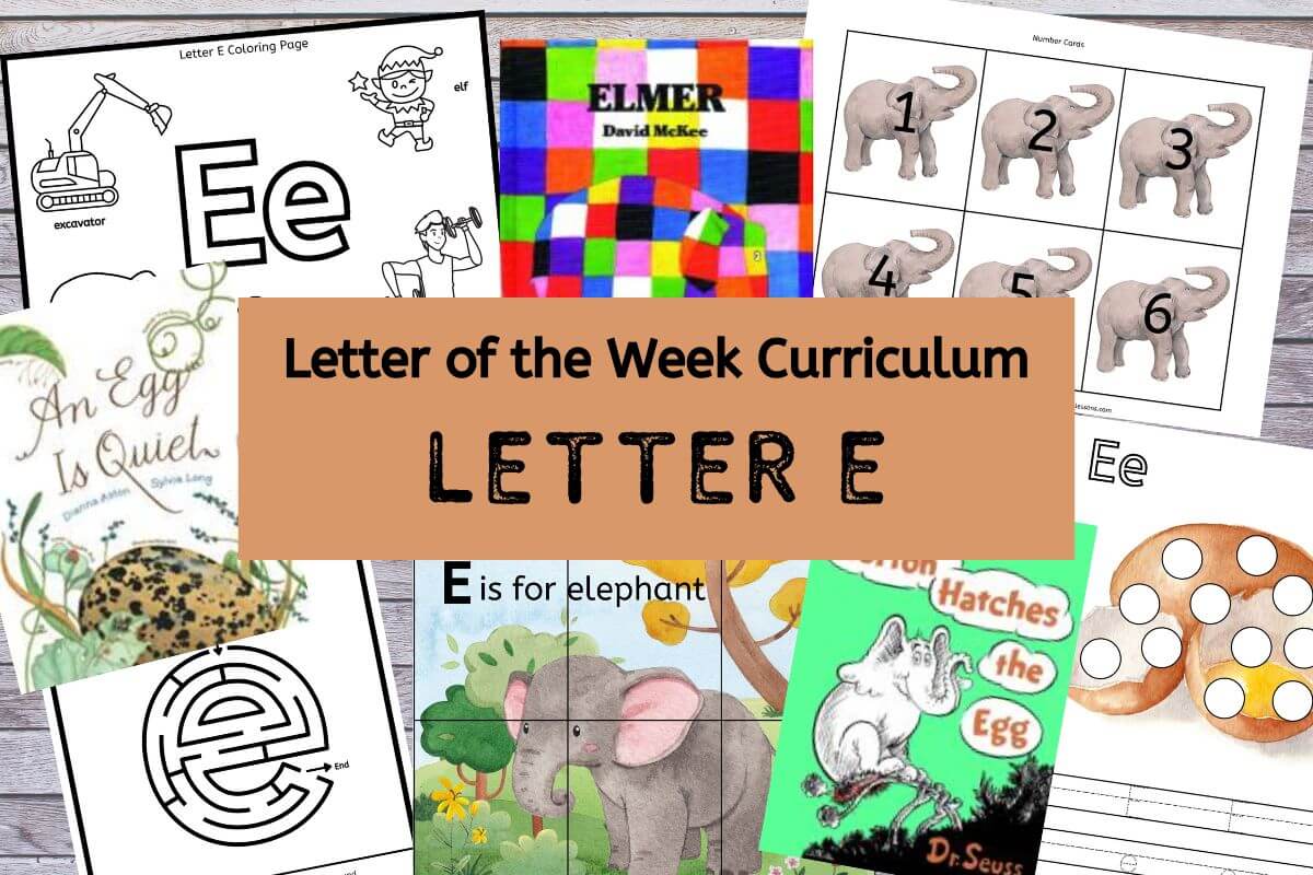curriculum for letter E