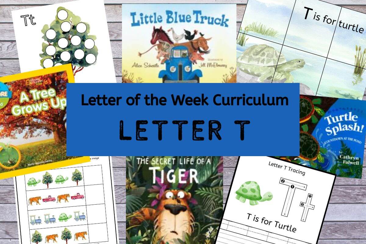 curriculum focused on letter T